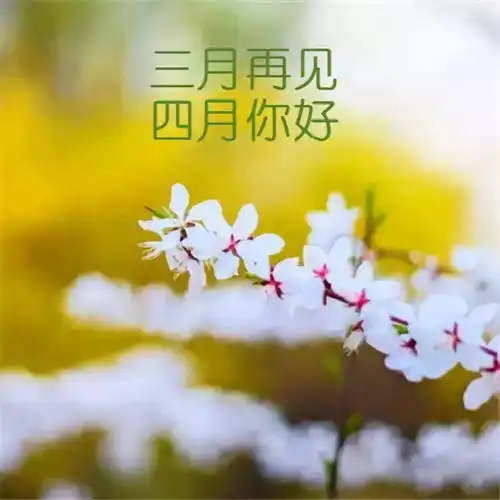 三月再见四月你好的文案,适合四月发朋友圈的唯美句子4月你好早安心语四月你好早安图片