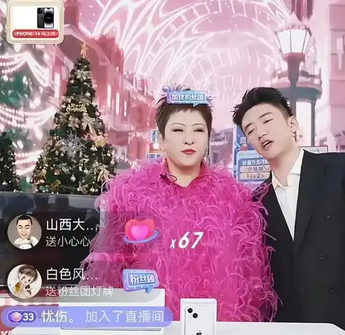 向太陈岚直播首秀大捷流量销量双丰收,却深陷床垫舆论风波