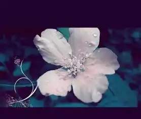 世界十大悲伤花语,彼岸花只排第二
