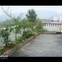 图片分享