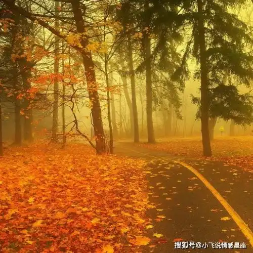12月事业高升,诸事顺心,福多财旺的4生肖