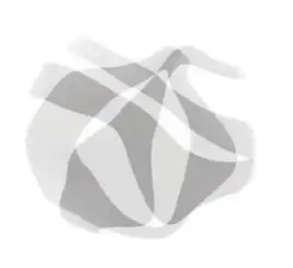 pscs6液化工具使用时,图像变色