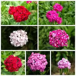 五月,携一缕浅夏的芬芳带你游福州的普罗旺斯