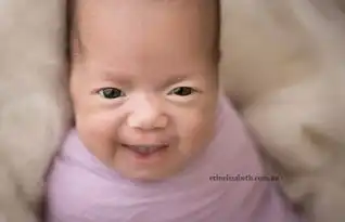 爱意满满澳大利亚五胞胎宝宝写真萌化众人组图