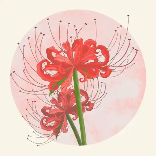 逍遥彼岸花花艳人不还,空悲恋