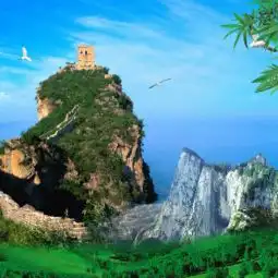 朝鲜民谣新高山打令,表现朝鲜农民领到化肥时的喜悦心情