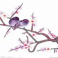 桃花头像图片微信头像图片大全