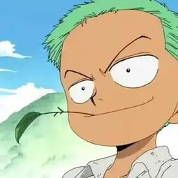 索隆的高清头像谁有