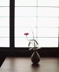 知识古有十雅,忘忧释怀