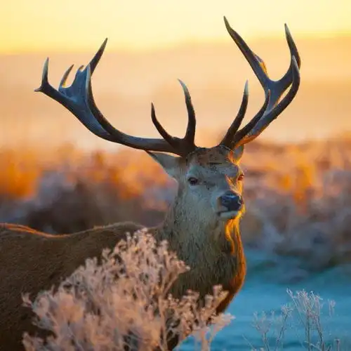 橘子情感你把妻子当保姆,就别怪她要离开你