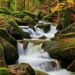 广场轻熟男的微博微博