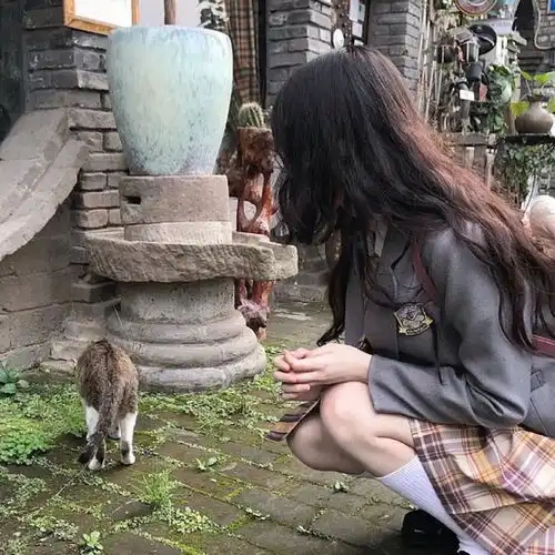 组里的招桃花头像测评