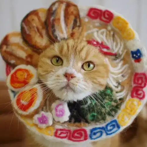 这只猫把披萨和汉堡带在头上后,看起来很好吃的样子...