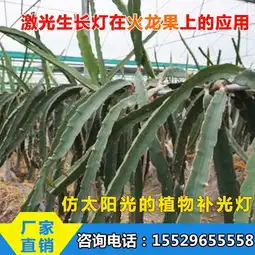 全光谱led植物生长灯,植物生长灯有用吗,植物生长灯高清图片高清大图