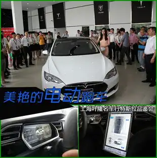 美艳的电动跑车上海叶隆汽车特斯拉品鉴会