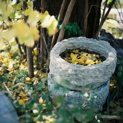 孤独是智慧的曙光,花点时间和它相处