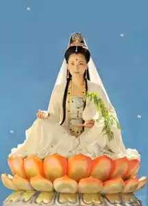 为什么女生更容易接受素食的生活方式