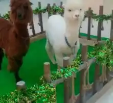 黄页88高清图片
