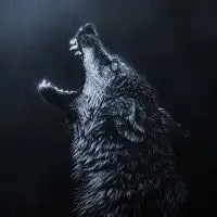 有气势的狼的头像微信头像图片大全